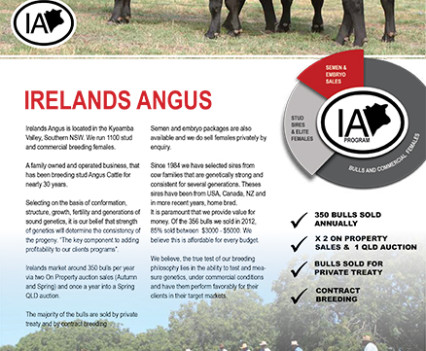 Irelands Angus - 2013 Catalogue artwork
