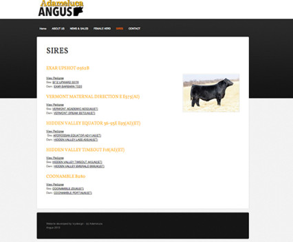 ADAMELUCA Angus website