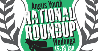 Angus Youth Roundup 2015 Logo