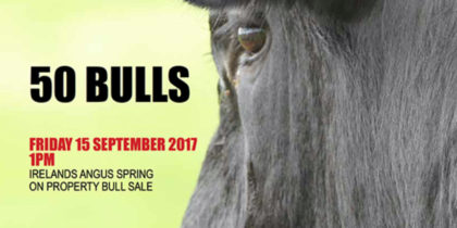 Irelands Angus 2017 marketing campaigns