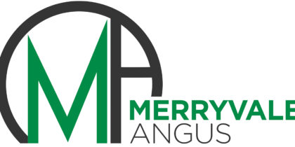 Merryvale Angus – Logo design