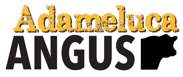 ADAMELUCA Angus - Logo