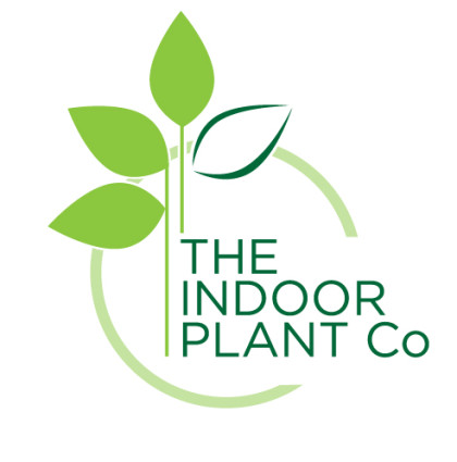 The Indoor Plant Company – Logo Design
